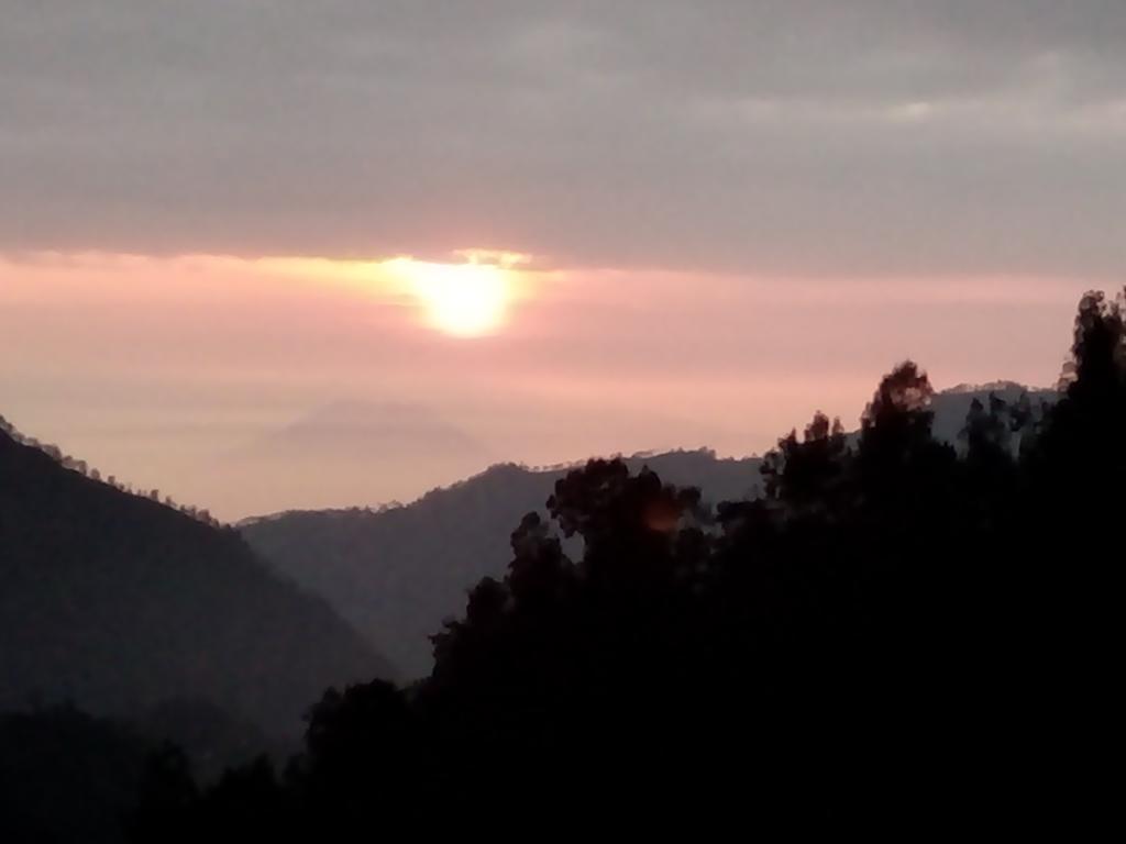 Bromo Otix Guest House Esterno foto