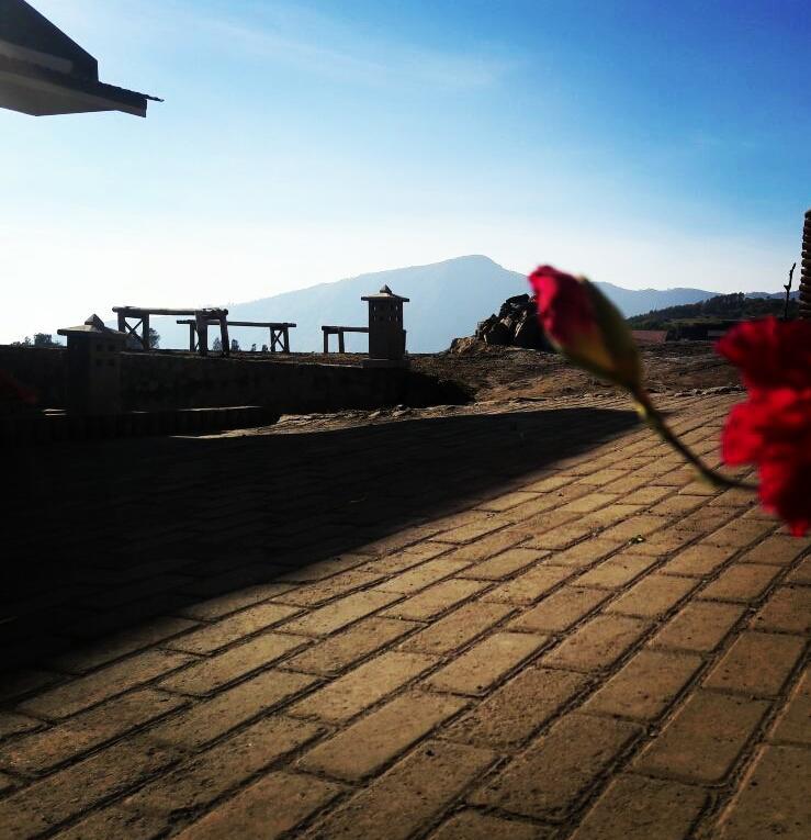 Bromo Otix Guest House Esterno foto