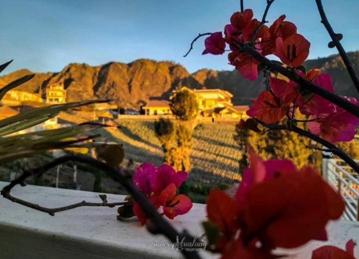 Bromo Otix Guest House Esterno foto