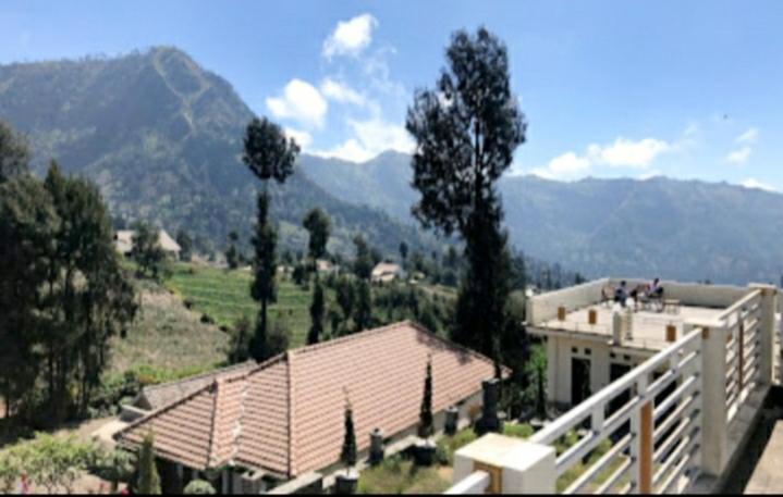 Bromo Otix Guest House Esterno foto